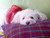 Lizbeth